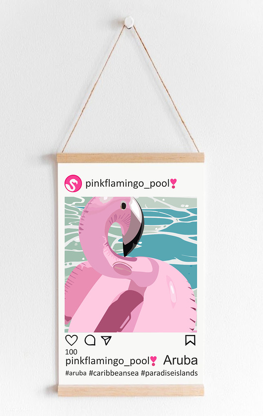 plakaty Plakat Flaming w basenie