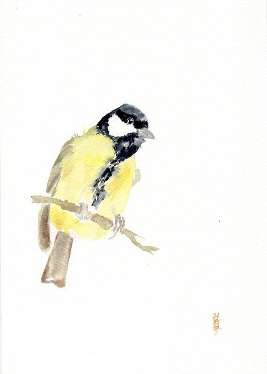 obrazy Oryginalna akwarela. Sikora bogatka
