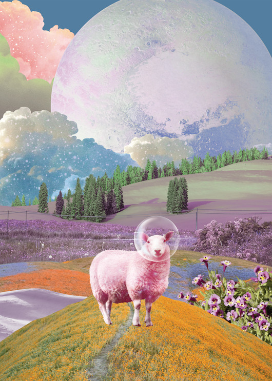 plakaty Plakat Space Sheep (kolaż)