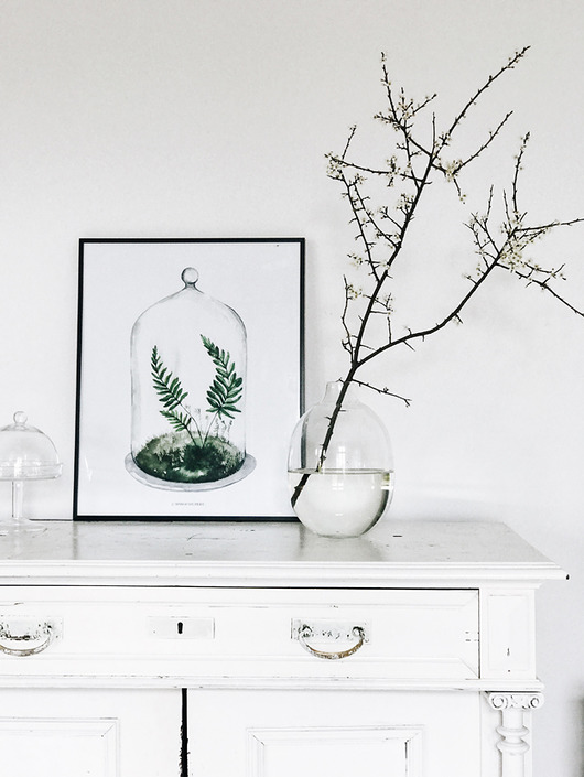 grafiki i ilustracje Las pod kloszem