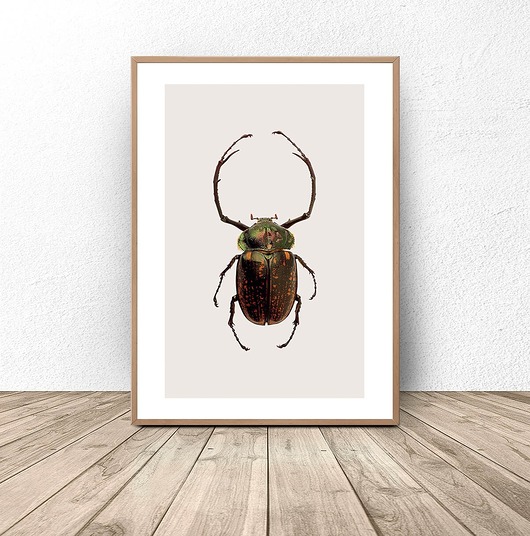 plakaty Plakat na ścianę z zielono-złotym żukiem