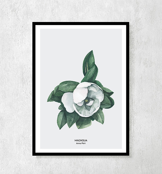 Plakat botaniczny Magnolia ceci bloom
