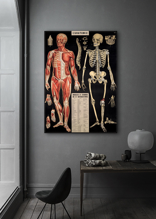 Anatomia - DEKORACJA ŚCIENNA Dekoracje PATKA Patrycja Kita