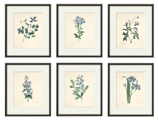 grafiki i ilustracje Kwiaty Ilustracja Druk Botaniczny prezent stara Grafika Rysunek