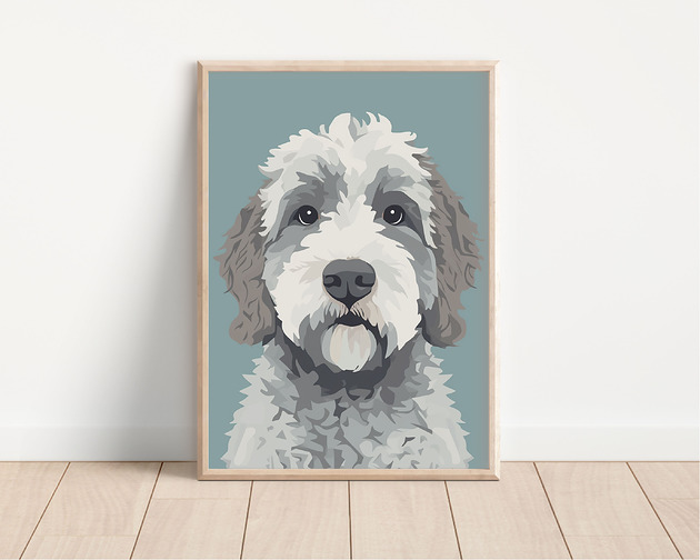 plakaty Plakat lagotto romagnolo