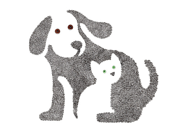 grafiki i ilustracje 51. Pies Z Kotem.