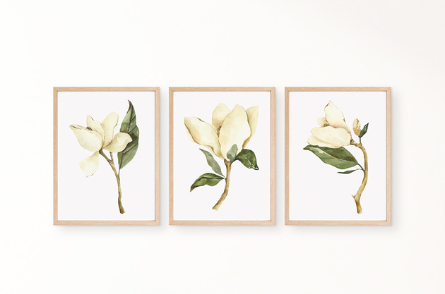 grafiki i ilustracje ZESTAW PLAKATÓW botaniczne kwiaty magnolii