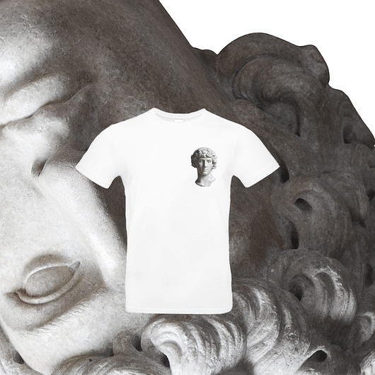 t-shirty męskie Biała KOSZULKA męska DAVID