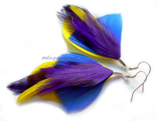 morpho Stella