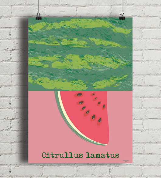 plakaty Arbuz - plakat fine art 50x70 cm