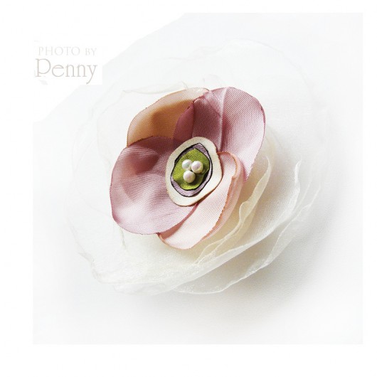 [Rosa I..]  pepaart