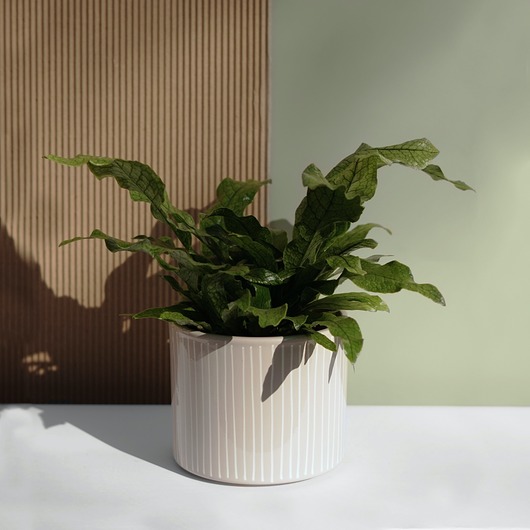 doniczki OSŁONKA 15 cm BEŻ w PASKI