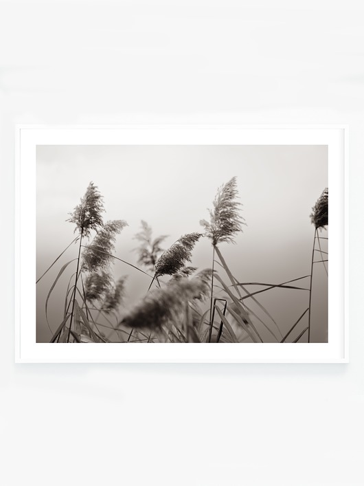 fotografia Na wietrze