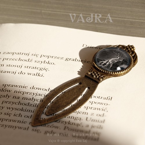 Vajra - zakładka Ewa Saj Fotografie