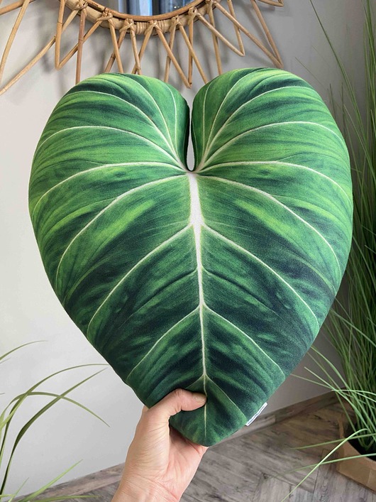 poduszki z grafiką Poduszka Liść Philodendron Gloriosum
