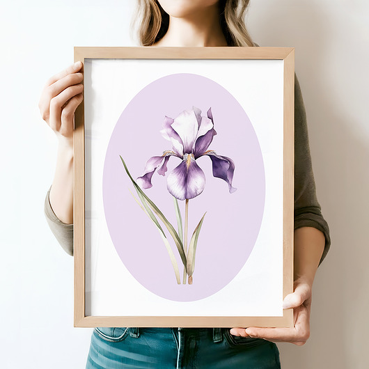 obrazy Fioletowy Irys - grafika botaniczna
