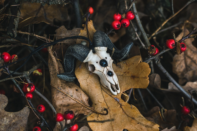 wisiory Wisior Czaszka Barana Czarne Oczy