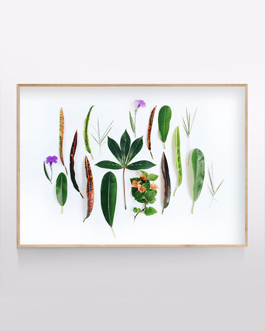 Plakat Liście flatlay MUKKO