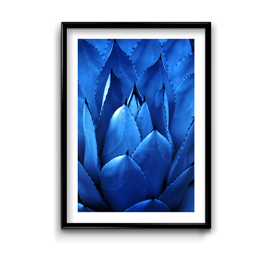 Plakat Navy Blue No.2  Bury Lis