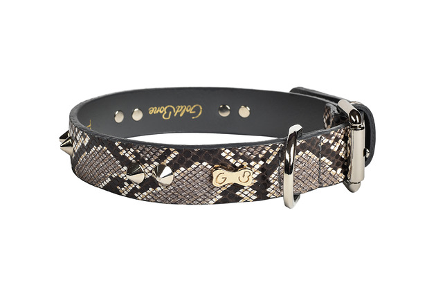 Obroża Snake Spiky (szerokość 2,5 cm) Goldbone