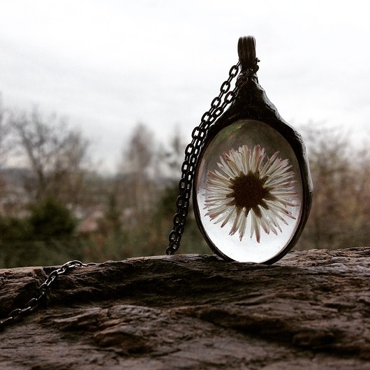 mini terrarium stokrotka MARIAELA