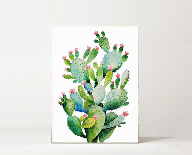 grafiki i ilustracje Kaktus
