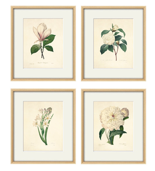 grafiki i ilustracje Kwiaty Ilustracja Druk Botaniczny prezent stara Grafika Rysunek
