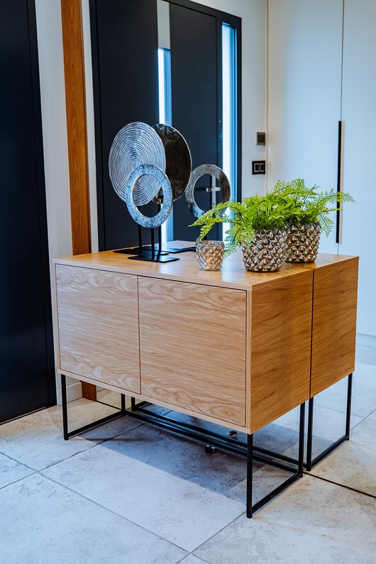 OPHIUM - komoda z drzwiczkami,szafka rtv,komoda,pokój,salon Papierówka Simple form of furniture