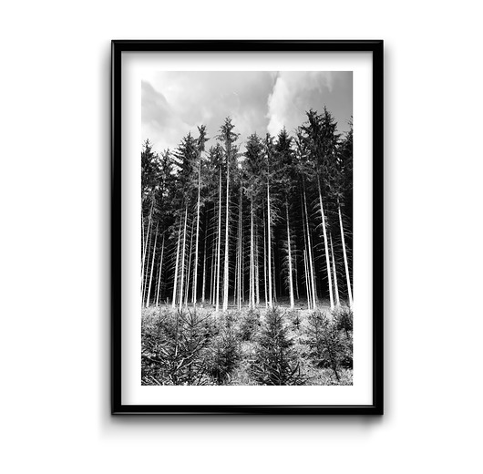 Plakat Forest #2  Bury Lis