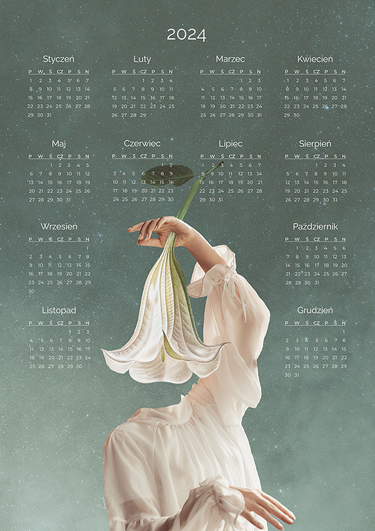 kalendarze i plannery Kalendarz 2024 - plakat B2