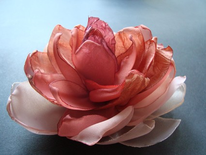 FABBI SundayRose