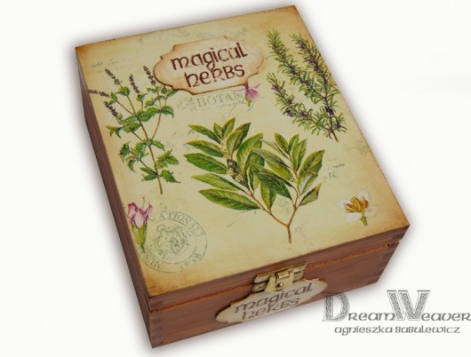 Magical Herbs Agnieszka Babulewicz