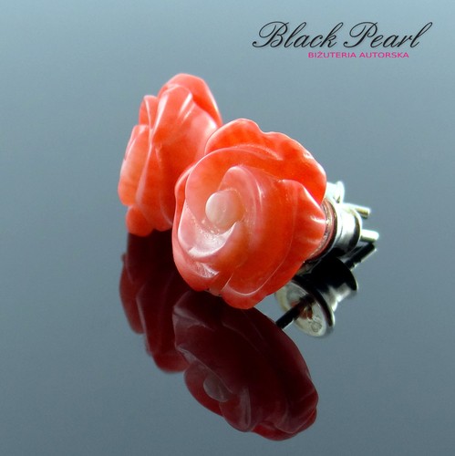 Koralowe róże Black Pearl