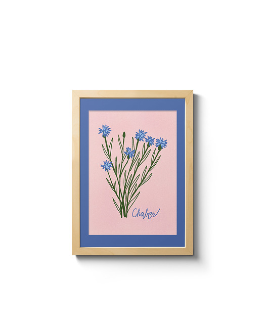 grafiki i ilustracje Chaber. Ilustracja 13x18cm