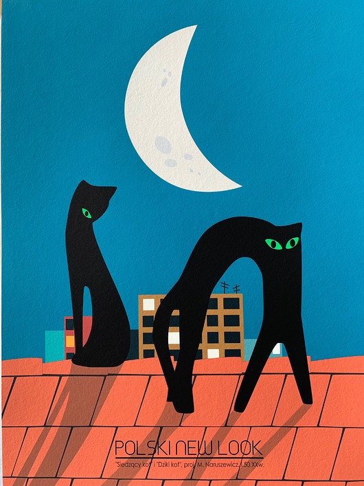 plakaty Plakat Fine Art giclee Dzikie koty. Polski New Look