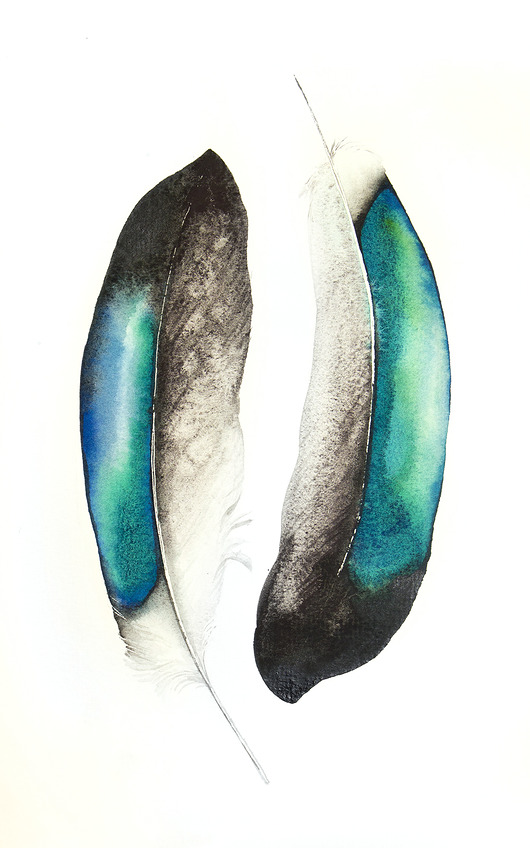 Pióra #1 - plakat, reprodukcja 30x40 Karolina Kijak