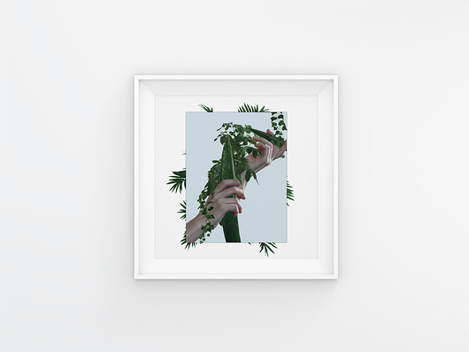 Plants Artysta Anonimowy