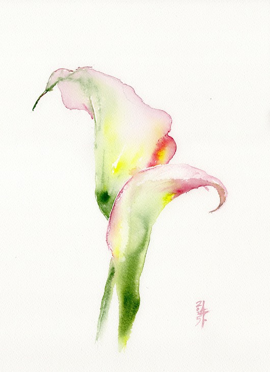 obrazy Oryginalna akwarela. Kalie