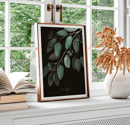 plakaty Plakat botaniczny  Eukaliptus  A3