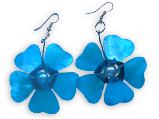 FIORI AZZURRI ola