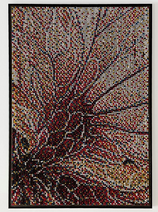 obrazy Hibiskus - panel dekoracyjny