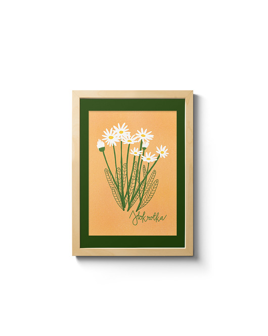 grafiki i ilustracje Stokrotka. Ilustracja 13x18cm