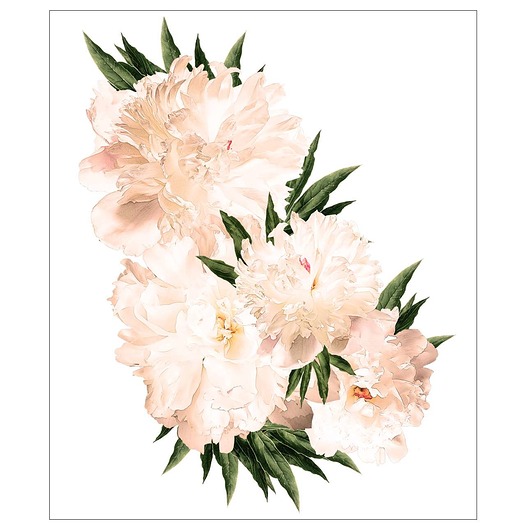 tapety i naklejki ścienne Naklejka Peony flowers 100x130cm