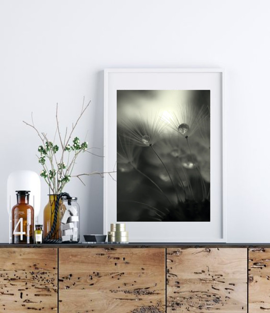 PLAKAT neutralny botaniczny czarno biały black dot studio