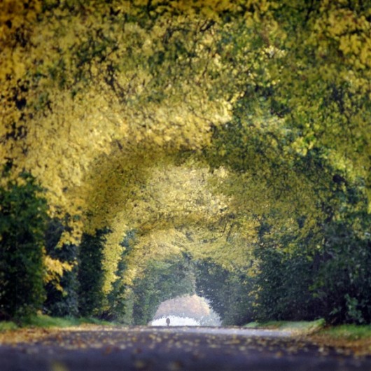 Złocisty tunel KLIMAT