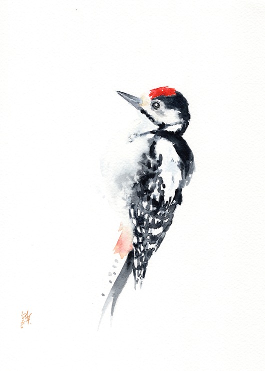 obrazy Oryginalna akwarela. Dzięcioł