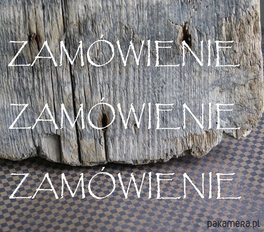 Maczki dla Pani Agnieszki MRiNK