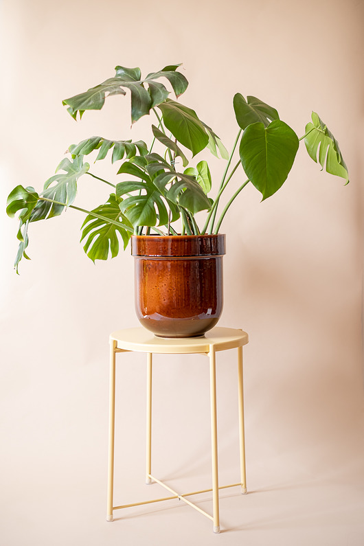 doniczki Donica TUBBA large 28cm (miodowa)