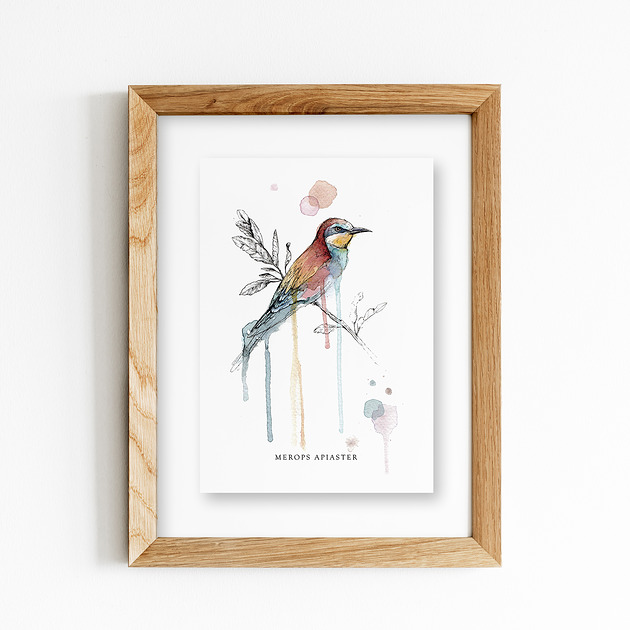 grafiki i ilustracje Żołna, A4