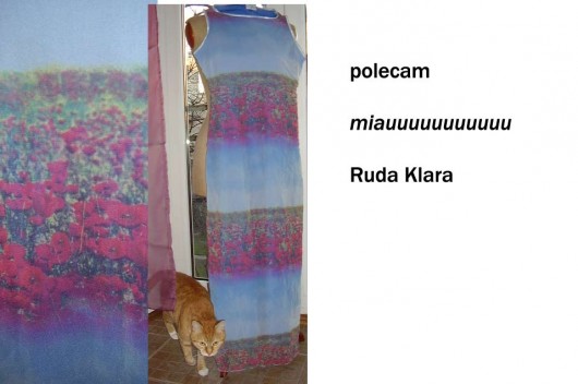 sukienka łączka ruda klara